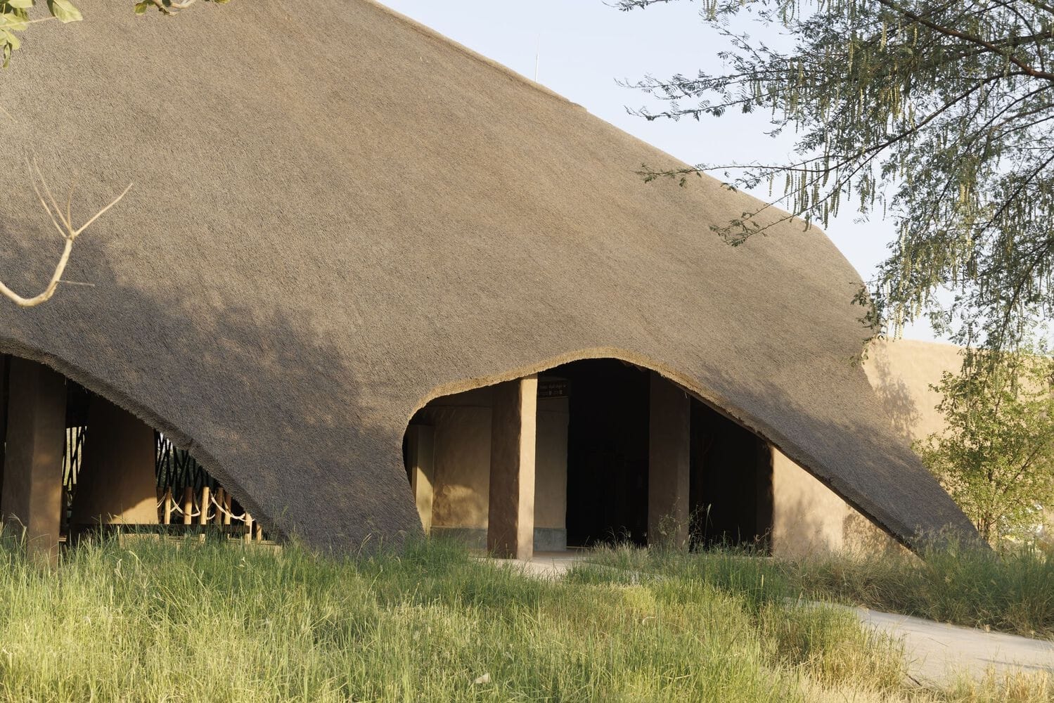 Emiratos Árabes, criaturas africanas