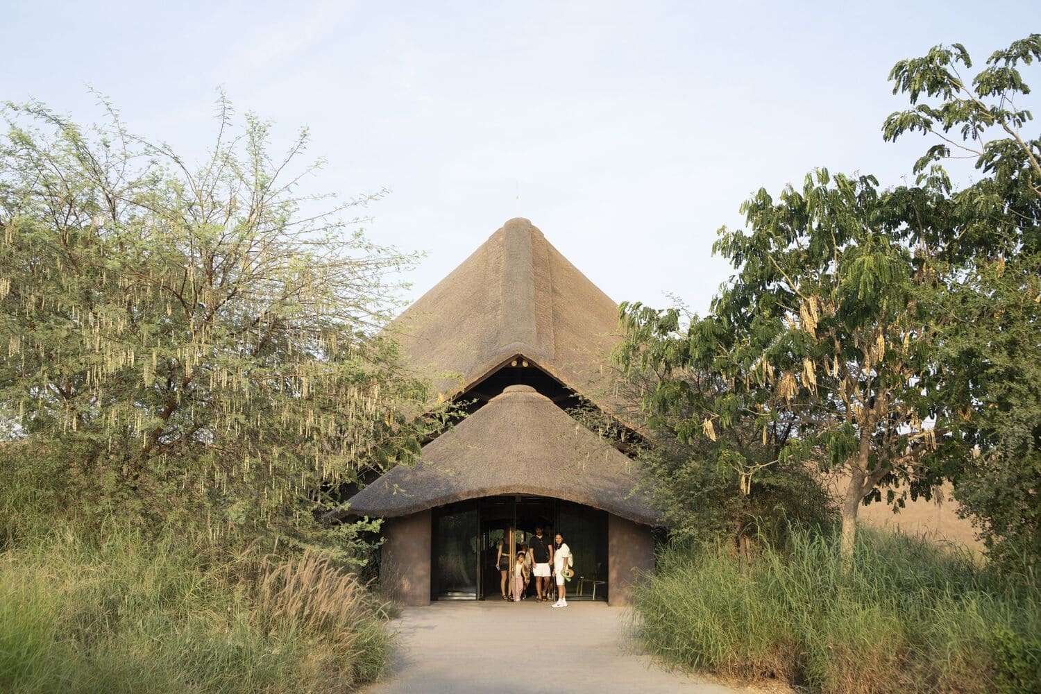 Emiratos Árabes, criaturas africanas