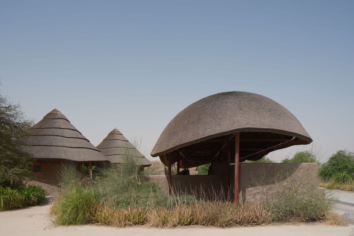 Emiratos Árabes, criaturas africanas