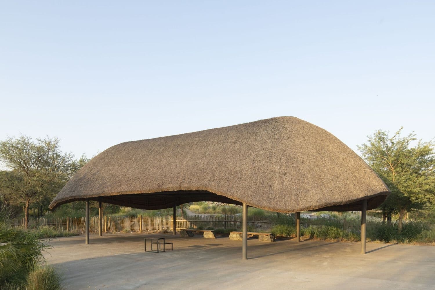 Emiratos Árabes, criaturas africanas