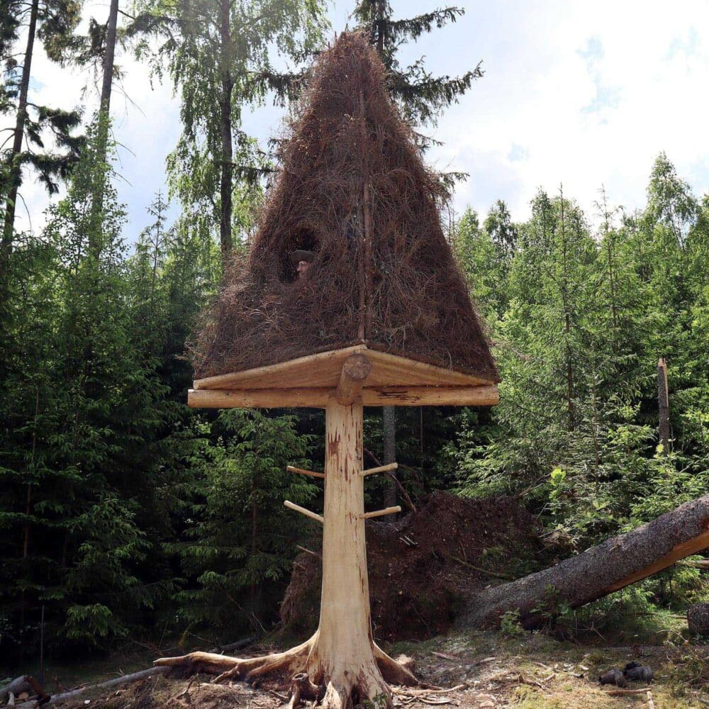 4_uma_zombie_tree_exterior_side_3000px