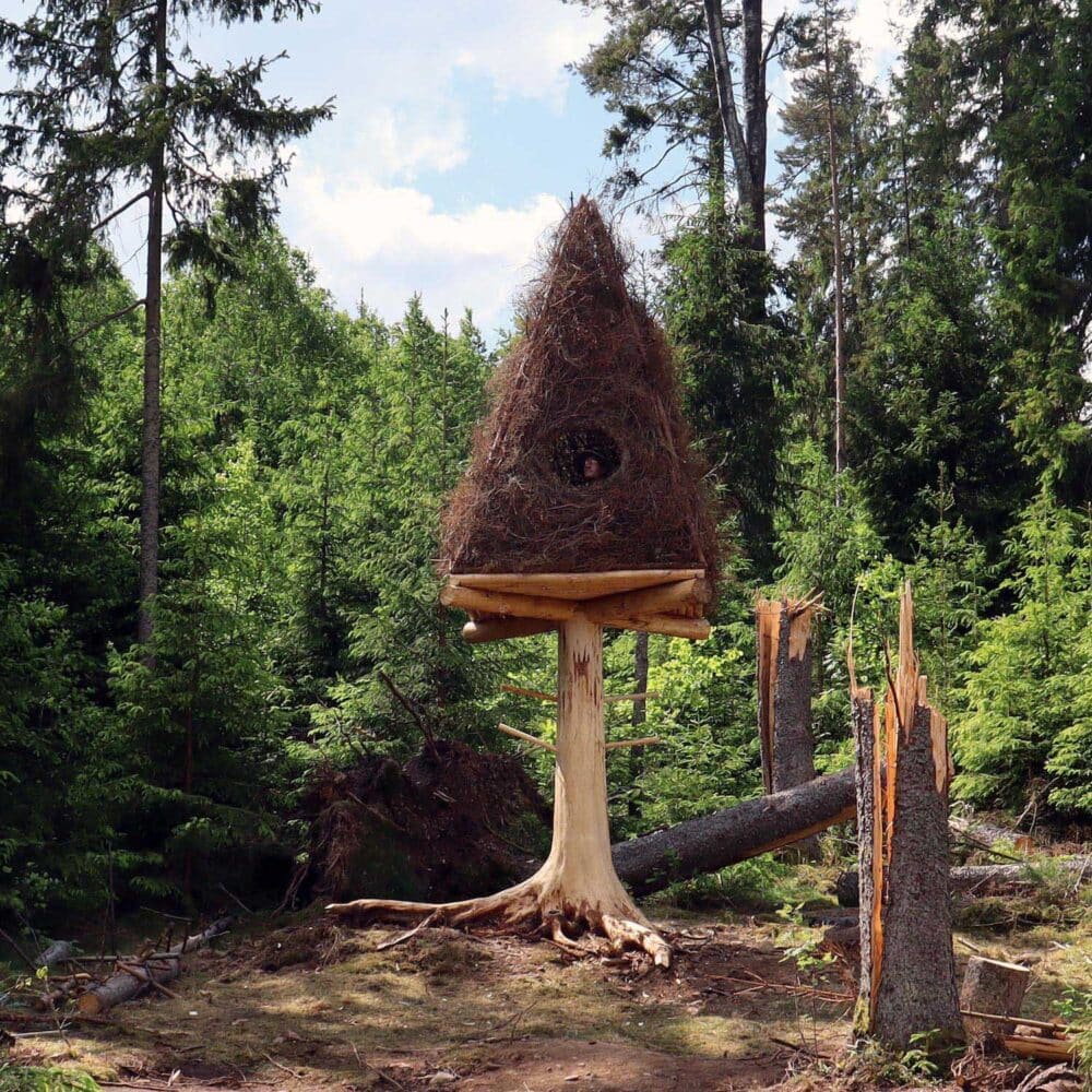 7_uma_zombie_tree_from_distance_3000px