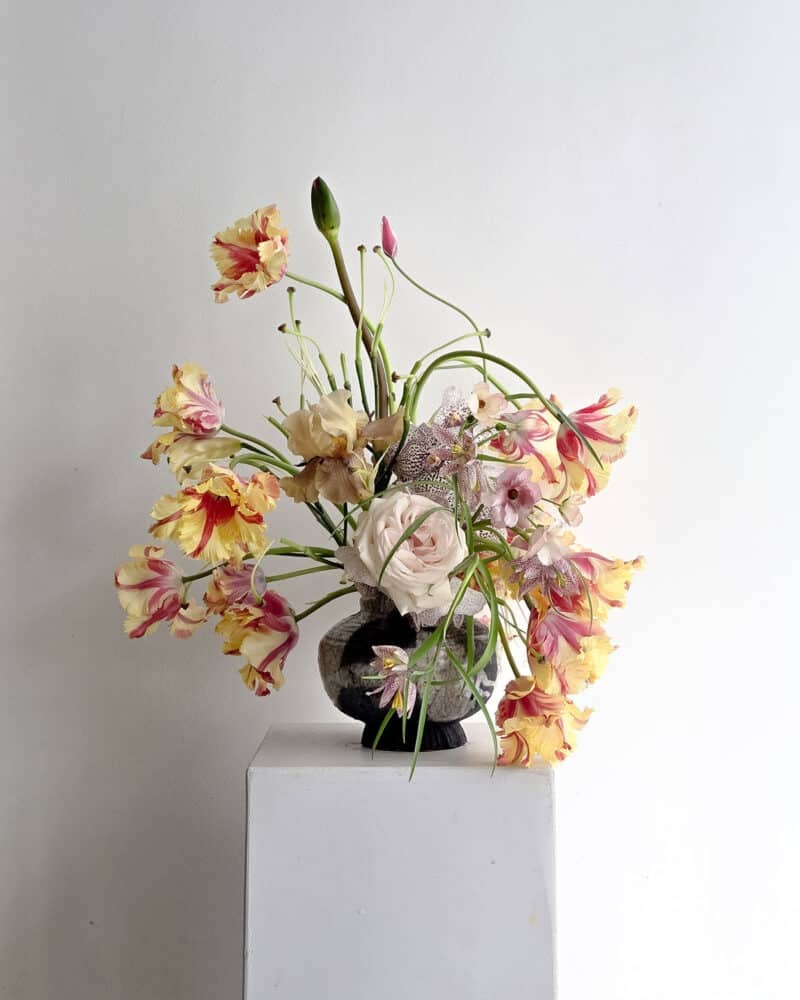 Mas Rasa. Festival Flora 2026