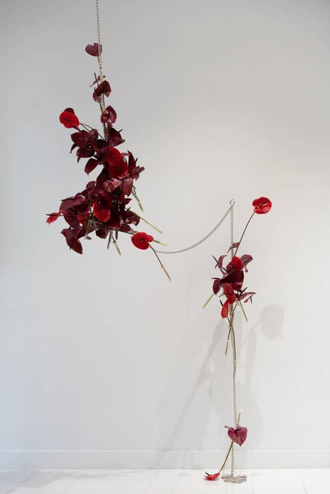 Taller Banegas. Festival Flora 2026